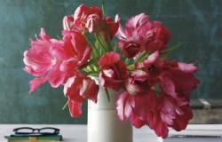 faça você mesmo um arranjo de tulipas com botões rosa