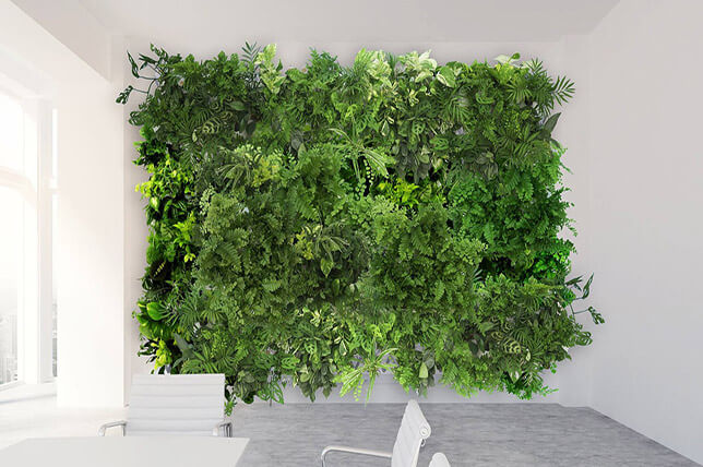 imagem de uma parede com plantas 