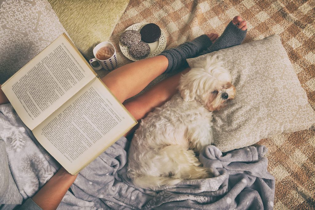 Imagem com uma pessoa lendo um livro e um cachorrinho dormindo