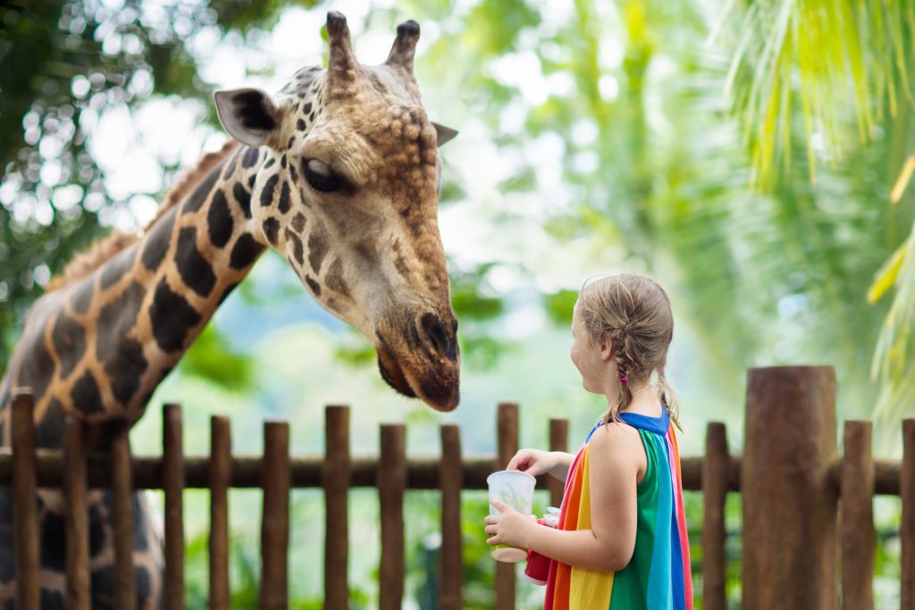 Diversão em família no zoológico