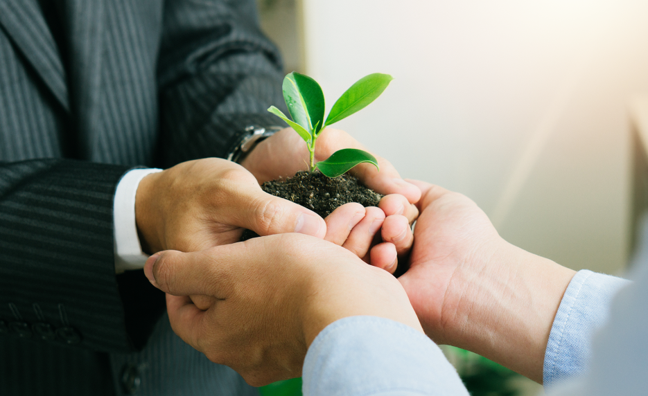 Como empreendimentos eco-friendly valorizam bairros e imóveis